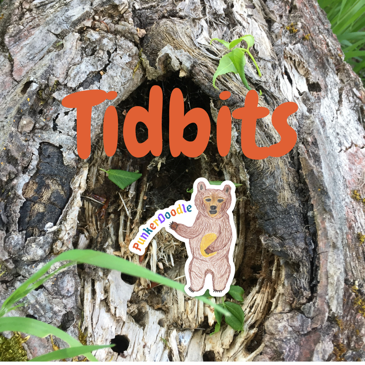 Tidbits Collection image with the name Tidbits and JJ the PunkerDoodle® mascot bear magnet sitting on top of a photograph of a stump with a hole in it and some greenery of grass.